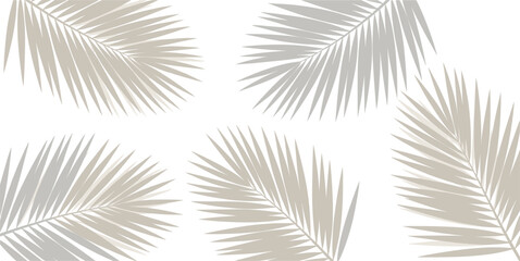 Obraz premium Elegant Minimalist Tropical Palm Leaves Vector Illustration Set with Soft Beige Neutral Tones Isolated on Clean White Background Background