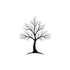 Obraz premium tree with roots