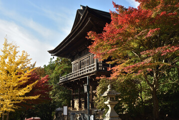 Fototapeta premium 秋の醍醐寺 上醍醐 如意輪堂(京都市伏見区)