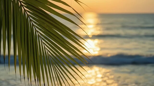 A vibrant green palm frond gracefully extends across the foreground, framing a stunning view of a sun-drenched tropical seascape. Golden light reflects and shimmers on the gentle waves of the ocean, c