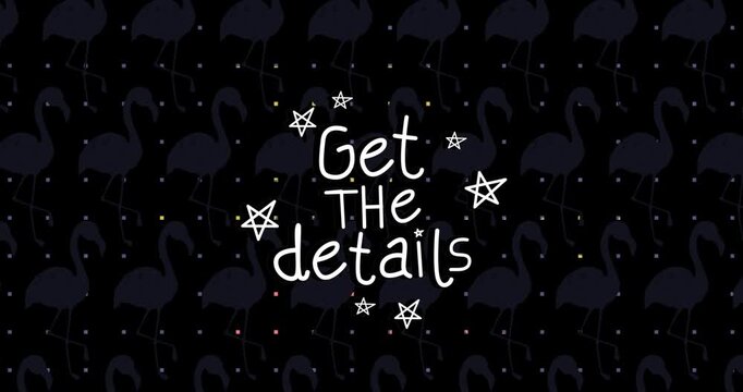 Animation of get the details text and flamingos icons over black background