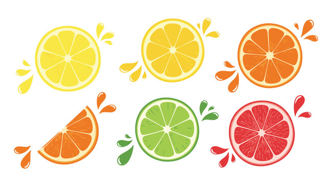 Selection of sliced citrus fruits including lemon lime orange and grapefruit with colorful juice splashes around.