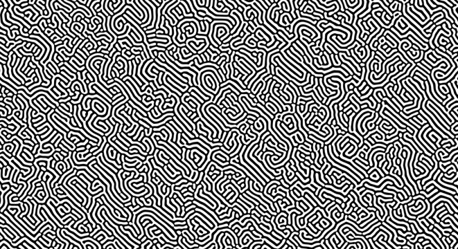Black and White Turing Pattern Abstract Texture photo