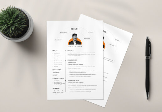 Professional Resume CV Template for Job Application