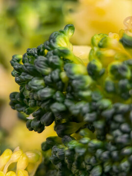 Macro broccoli florets with yellow bokeh, home chef inspecting texture under warm kitchen light, vibrant green buds with crisp