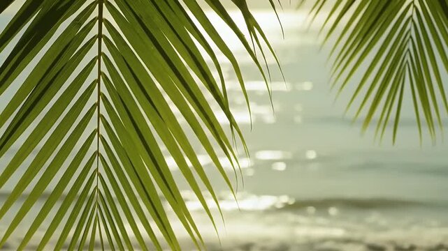 Lush green palm fronds elegantly frame a sparkling, sunlit ocean. Gentle waves define a tranquil tropical scene, evoking relaxation, vacation, and escape. Perfect for travel or wellness media.