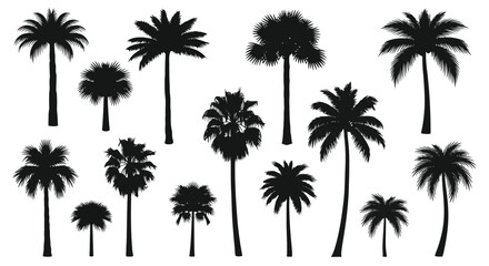 Silhouettes of various tropical palm trees on a white background. © Muginandaru