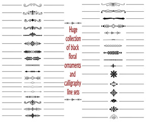 Minimalist book page breaks and typography ornaments, elegant flourish borders and decorative rule lines for layout designs.