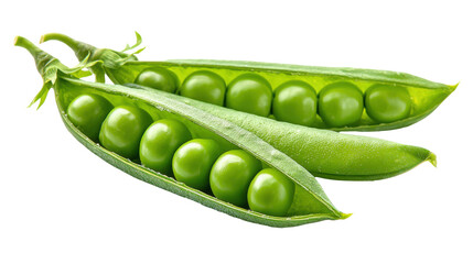 Fresh green peas in open pod organic legume vegetable healthy protein food agriculture vegan nutrition isolated cutout studio macro on white background