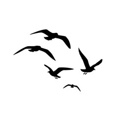 Fototapeta premium Silhouette of a Flock of Birds Flying in the Sky