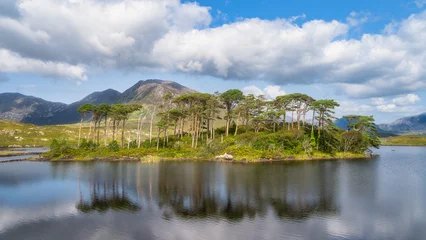 Poster Reflectie Pine Island reflected in water in Connemara, Galway, Ireland. Compact tree covered islet surrounded by glassy lake surface. Soft cloud sky and distant hills. Sense of quiet refuge ideal for meditation  © Dawid