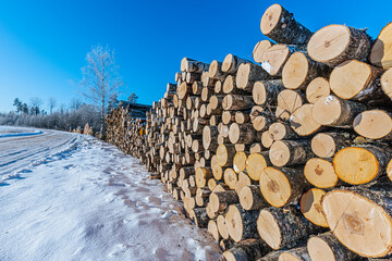 Stacked logs in a snowy landscape beside a winding road, with clear blue skies and frost-covered trees in the background creating a serene winter scene