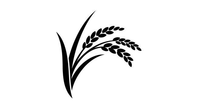 Black rice plant illustration