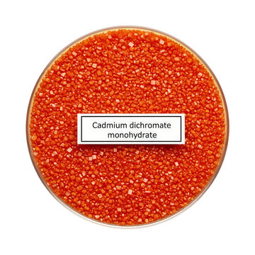 A close-up overhead view of cadmium dichromate monohydrate crystals in a petri dish, showcasing their vibrant orange color and texture