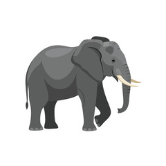 Fototapeta premium Gray Elephant Illustration Isolated on White