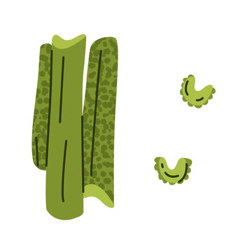 Celery stalks and slices illustration showing fresh green vegetable pieces in flat style. Food illustration suitable for healthy nutrition.