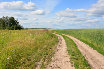 Dirt Road Winding Through Green Fields Under a Blue Sky copy space
