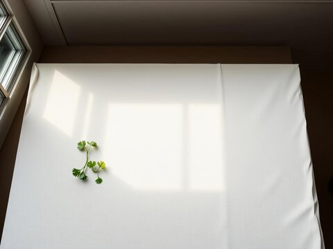 A nascent canvas awaiting culinary alchemy, its gentle swell hinting at untold flavors,  edible orb,  food art