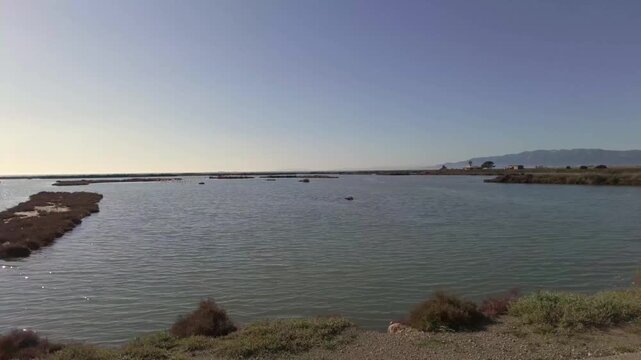 Landscape in the Ebro Delta National Park in Amposta, Spain