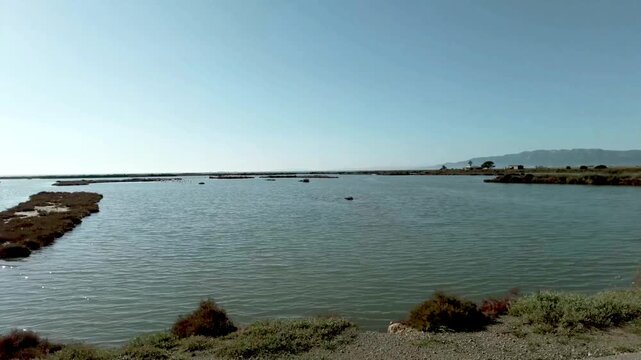 Landscape in the Ebro Delta National Park in Amposta, Spain
