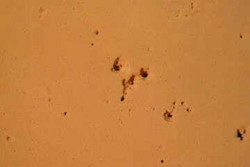 Abstract texture background of an old orange sponge mattress surface with holes. For graphic design, 3D rendering and banners