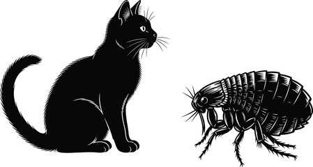 Cat flea silhouette, pet parasite concept, black vector illustration, animal health issue, white background, feline pest awareness © Mst