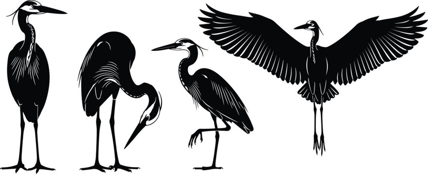 Black heron bird silhouettes set, elegant flying and standing poses, minimalist wildlife vector illustration, isolated on white background, graphic design element