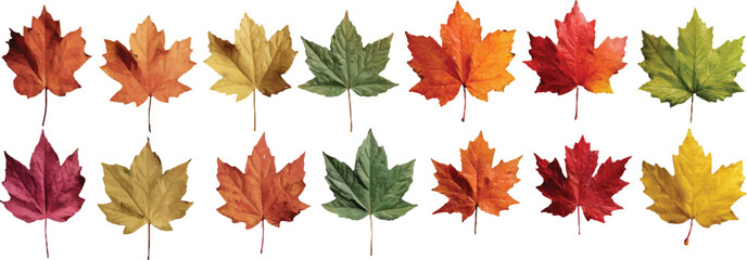 Fototapeta premium red and yellow autumn leaves