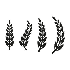 Wheat ear set. Black plant silhouette. Organic grain Vector. Nature farming symbol.