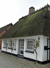 schmale Gassen, reetgedeckte H&auml;uschen, Fischerkate und mehr....