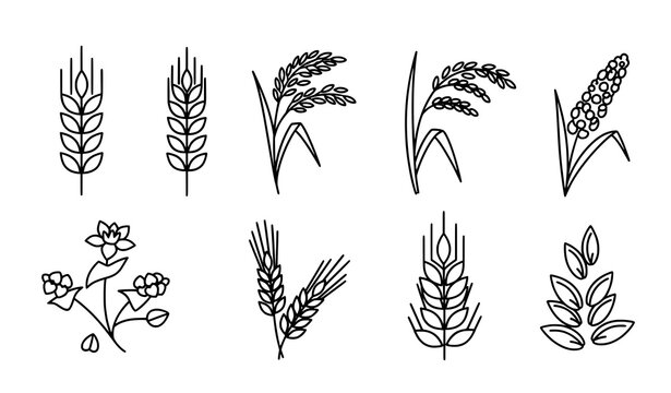 Farming Grain Outline Icon Pack Editable Stroke Vector