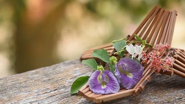 Rhinacanthus nasutus, Henna and Butterfly pea flowers with herb related to hair on natural background.