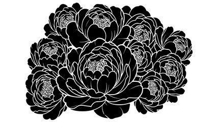 Elegant cluster of detailed black and white peony flower outlines creating a beautiful floral graphic design element