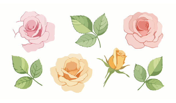 Soft watercolor roses floral vector set isolated on white background