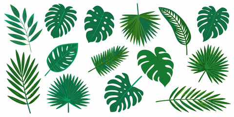 A collection of diverse vibrant green tropical leaves arranged on a white background © Lalin