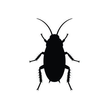 Cockroach silhouette vector flat illustration design.