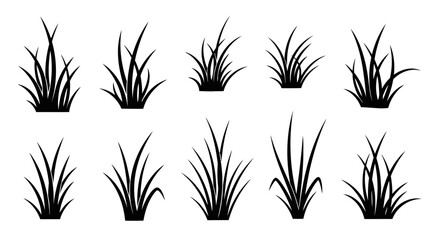 Obraz premium Minimalist black silhouette line art of various wild grass tufts.