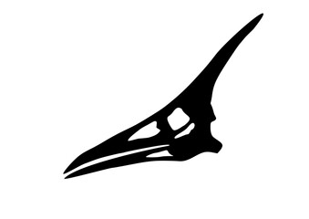 black Pteranodon skull silhouette  © จักรภพ พุ่มแพรพันธ์