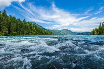 Fototapete Wald Fluss Flowing rivers and green forests with mountain landscapes in the Kanas Scenic Area, Xinjiang, China.  © ABCDstock