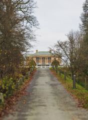 Obraz premium Historic mansion at the end of a long driveway surrounded by bare trees in late autumn.