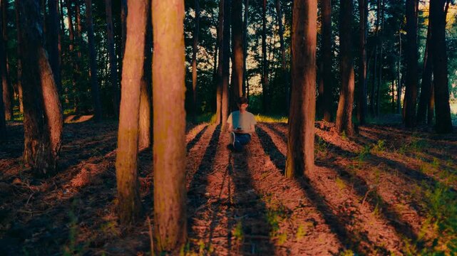 Man using smartphone in summer pine forest, seeking balance between nature and technology