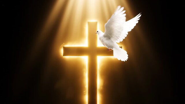 A video showcasing a symbolic Christian cross with a white dove flying nearby, illuminated by a divine light beam.