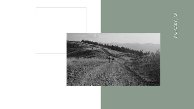 Premium Quick Cut Media