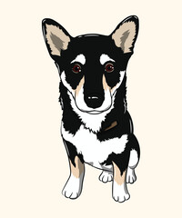 Adorable Black and White Husky Puppy Sitting with Red Eyes Illustration