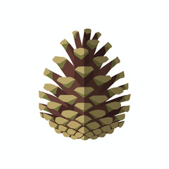 Pine Cone Close Up on White Background