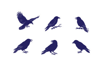 Obraz premium Set of black silhouette Raven or Crow birds. Different poses. Halloween, horror concept. trendy Vector design illustration. Every bird is isolated