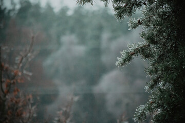 Zimowy Krajobraz © Anna