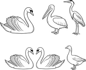 Bird silhouette vector, two birds artwork, symmetrical wings design, wildlife illustration, black outline graphic, minimalist artwork, elegant animal symbol, nature inspired icon