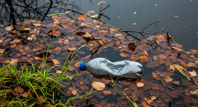Crushed plastic bottle floats on water covered with autumnal leaves, representing environmental pollution, ecological damage and irresponsible waste disposal