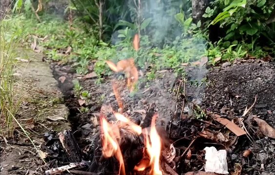 Fire from dry leaves in the corner of the outdoor garden.